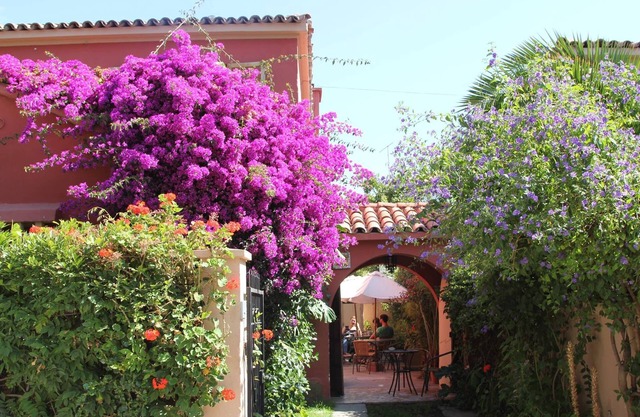 EL ARBOL HOSTEL