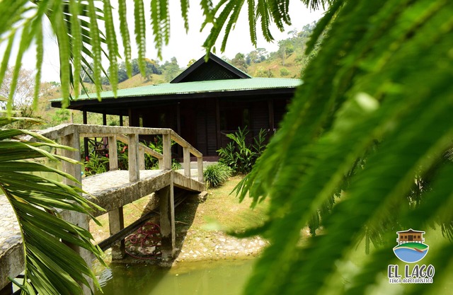 El Lago - Ferme Ferme