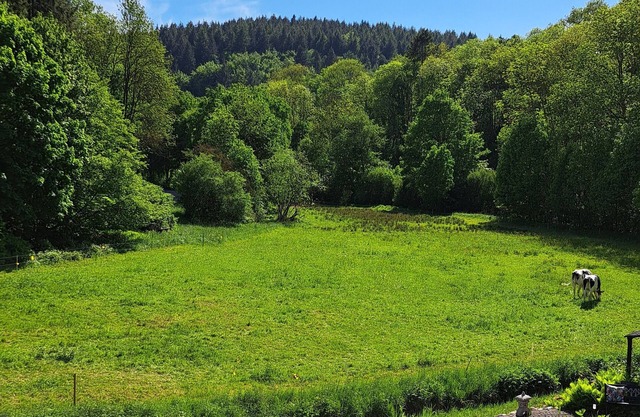 EL MIRADOR - Holiday apartment near Nürburgring - Eifel - Ahr