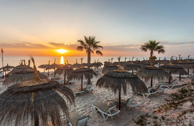 El Mouradi Palm Marina