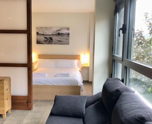 El niuet de Salàs de Pallars