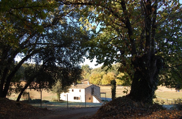 Ferme "El Zurrador", ferme agricole, d'élevage et forestière avec hébergement rural.