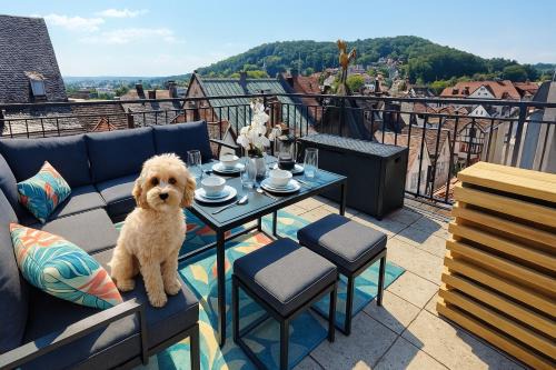 ELApart by Homely Stay - Moderne Apartments direkt im Stadtzentrum mit Self-Check-in