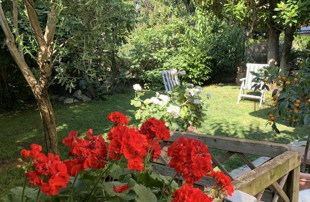 élégant appartement avec jardin - centre historique adjacent et hôpital civil