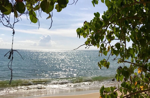 Elégant, bien villa située sur la côte ouest de Puerto Rico, Rincón.