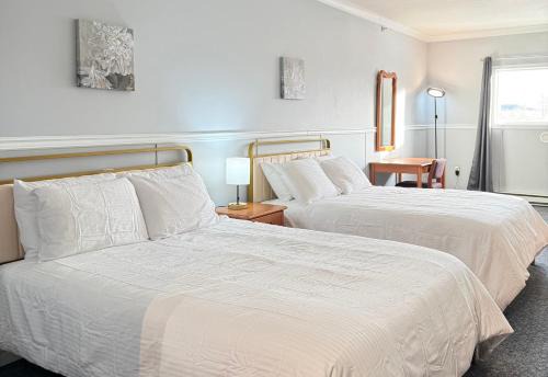 Elite Hotel -Downtown Center- "Ski & Northern light Tour" "Hot Spring Tour "Long-term stay"