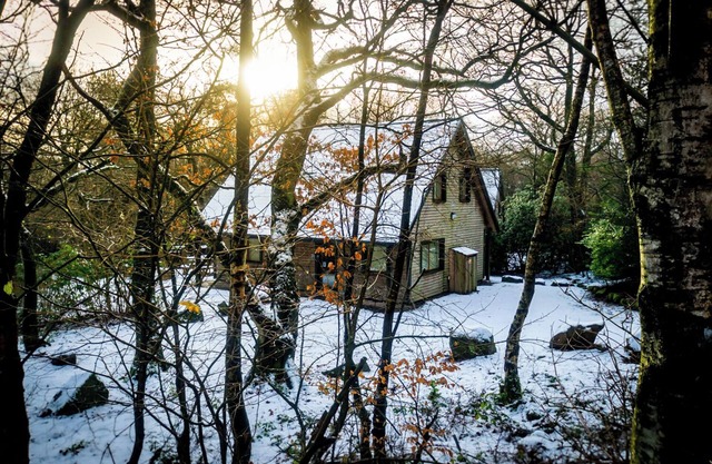 Ellastone; woodland lodge for 8 with hot tub, log burner, BBQ, near Alton Towers
