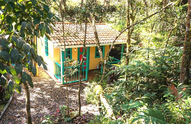 ENCANTO Minicasitas en medio de la naturaleza