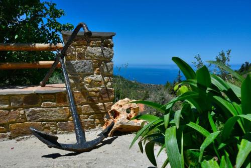 Endless green 1 Arethousa Ikaria