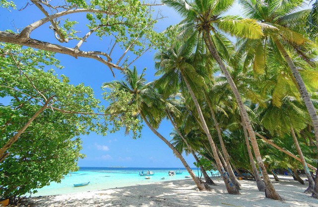 Enjoy dependable value by the beautiful Pacific !!