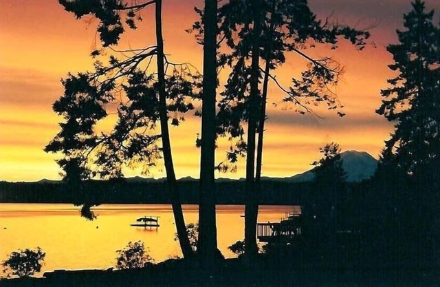 profiter vie insulaire sur une plage de sable Puget Sound avec une vue sur le mont Rainier
