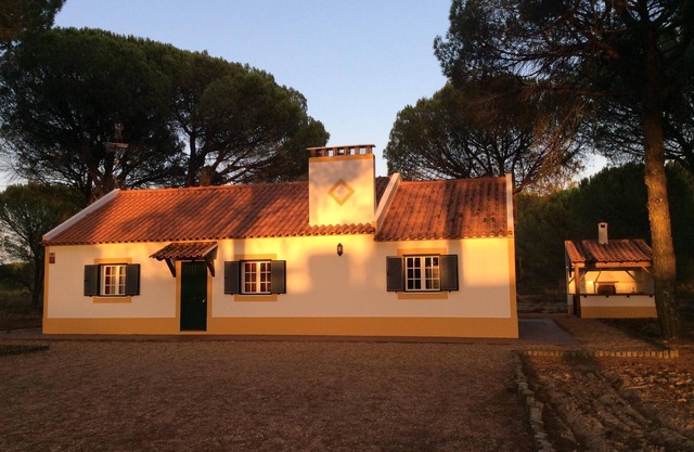 Profitez de la beauté de l'Alentejo. Maison dans une forêt de pins et à proximité des belles plages