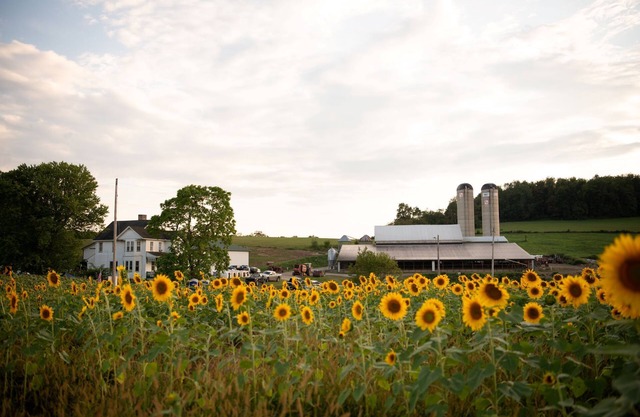 Entire Farmhouse -Maple Bottom Farm Bed & Breakfast