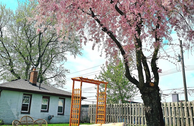 Entire LARGE property, house w WiFi, pool, mini golf, hot tub, and new RV!