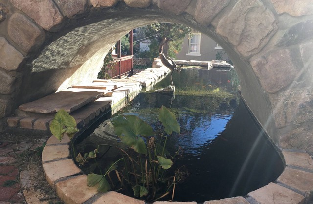 Château de sirène entier avec des étangs géants de Koi dans le centre-ville de Bisbee (10 personnes)