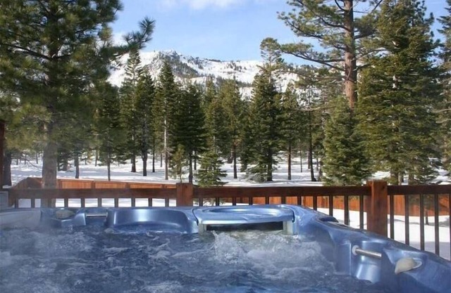 Vues épiques, luxe, kilomètres de la forêt nationale - Koru Lodge
