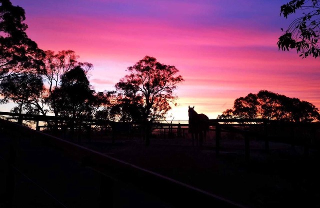 Equine retreat stay with silver medal Olympian