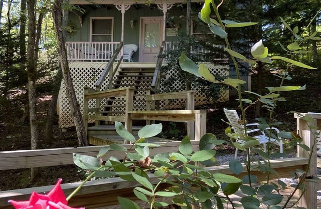 Escape to a Pet-Friendly Cabin near Helen, Blue Ridge & Appalachian Trail