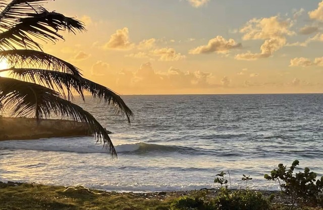 Escape to Tranquility 2-bedroom modern home at waterfront with fast Internet.