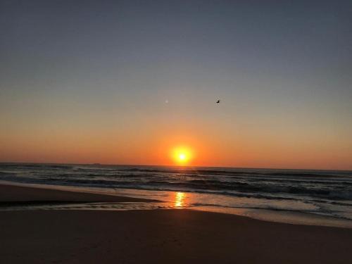 Estúdio Aurora no Campeche by Achei