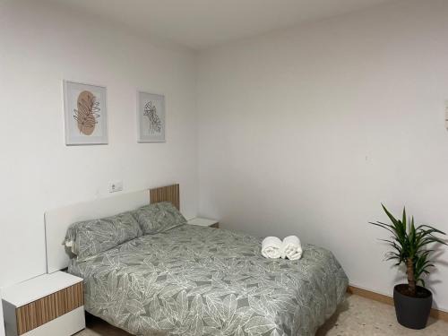 Estudio Alborada