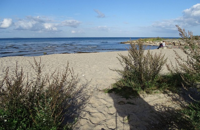 Appartement 5 étoiles exclusif - LEE pour 2-5 personnes ,, jardin, endroit calme, près de la plage