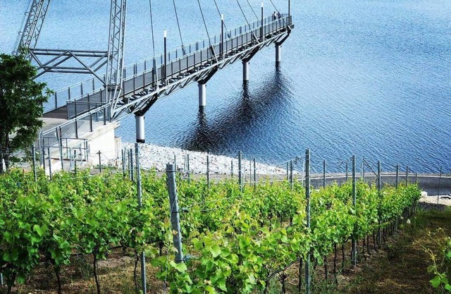 Appartement exclusif sur le lac Großräschen avec terrasse