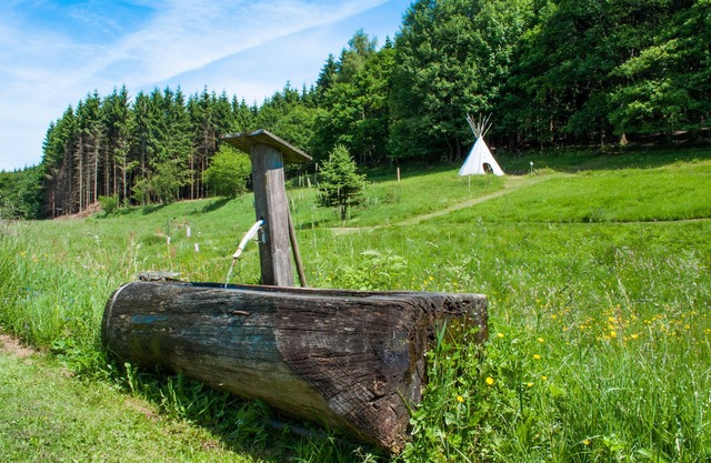 Appartement de vacances exclusif sur le Rothaarsteig, aventure en plein air adaptée aux enfants