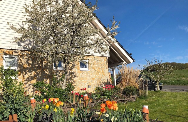 Exclusif nouvelle maison de vacances avec beaucoup d'espace à Bad Arolsen / Twistesee