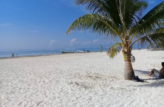 Maison exécutive avec piscine dans une rue d'un million de dollars à 150 marches des Caraïbes