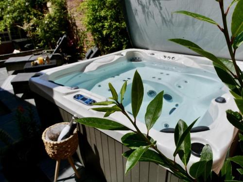 Executive Suite with Private Hot Tub SkyTV