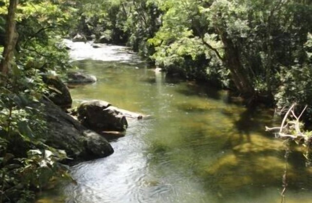 Louer un endroit magnifique dans la réserve écologique de Macaé de Cima - Nova Friburgo