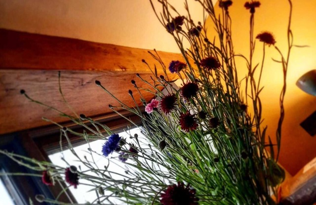 Exmoors Romantic Boutique Country Retreat