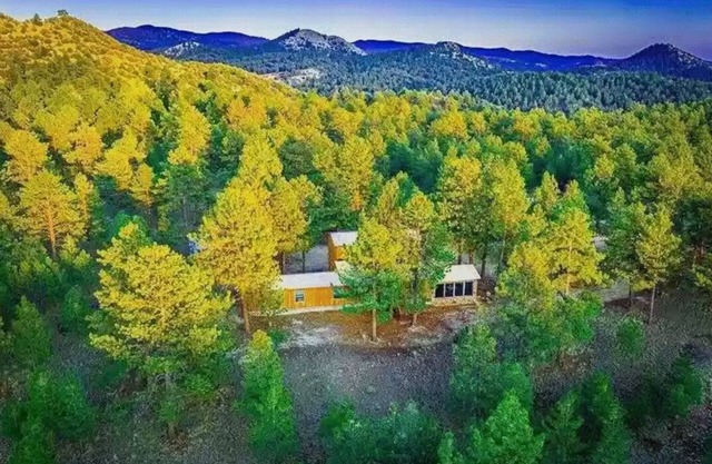 Expansive Mountain Getaway with majestic mountain views and park like setting