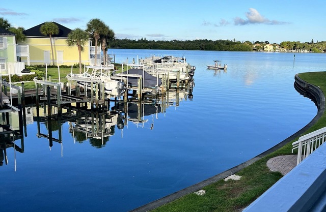 vue sur la baie, regarder les couchers de soleil et les dauphins, patio privé tropical