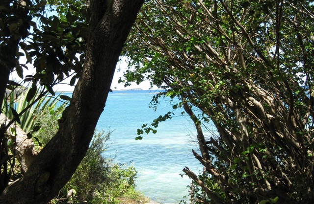 Découvrez Vivre l'île dans un cadre tranquille Mer!