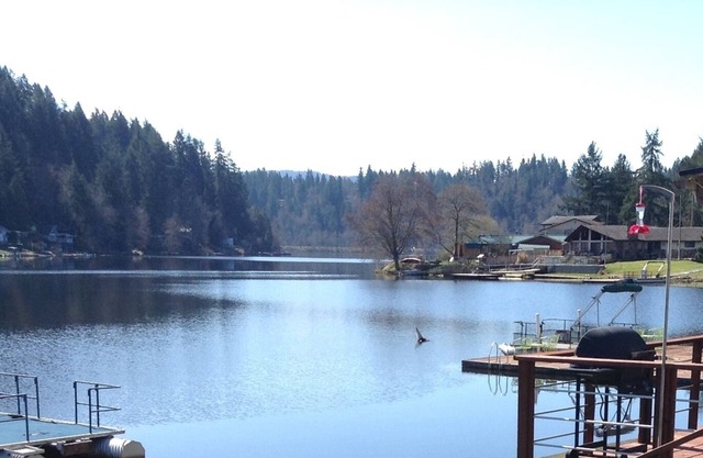 Profitez de la vie au lac pour vos prochaines vacances près du mont. Rainier.