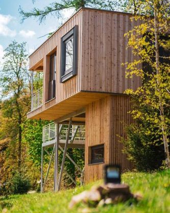 Experience Nature In A Loft At Treetop Height