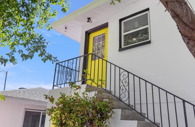 Experience the Vibrant Downtown St Pete!