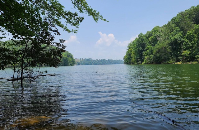 Experience tranquility near Douglas Lake 18 min
