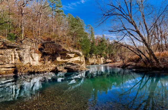 Explorez North West Arkansas avec tout le confort de la maison