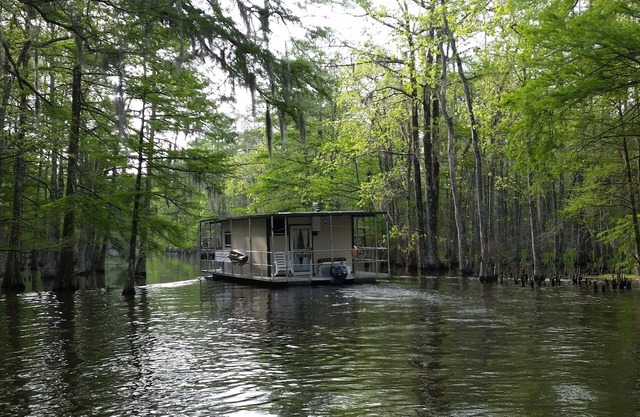 Explorez les bayous du sud de la Louisiane!