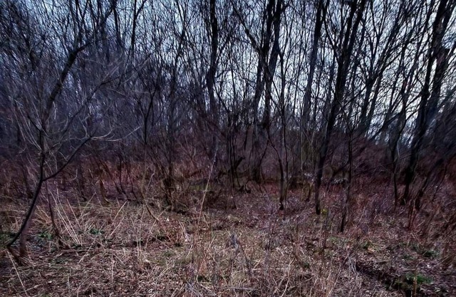 Exploring Limits Wilderness Retreat
