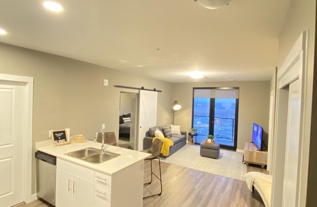 Exquisite 2 Bedrooms /2 Bathrooms Condos