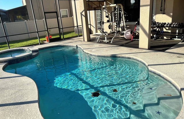 Extra Large studio with Pool, Gym, Queen bed, huge walk in shower.
