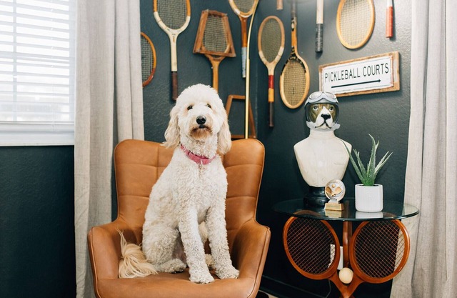 Pets + Pickleball: Private backyard Pickleball court -Near to Armature Works