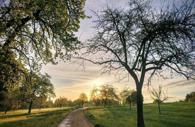 Family apartment with garden view - view Maisenbach