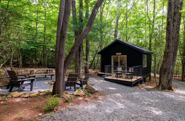 Can't Bear To Leave 486 - A Perfect Pisgah Retreat