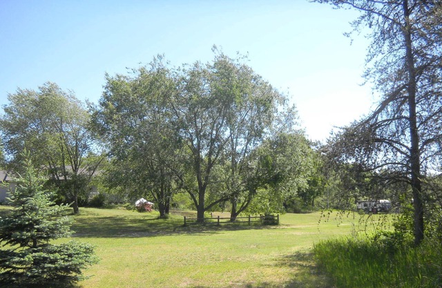 FAMILY CAMP SITE FOR CAMPER OR TENT
