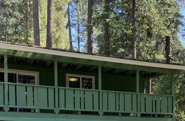 Family Friendly Cabin in Strawberry with internet and kayaks for the lake